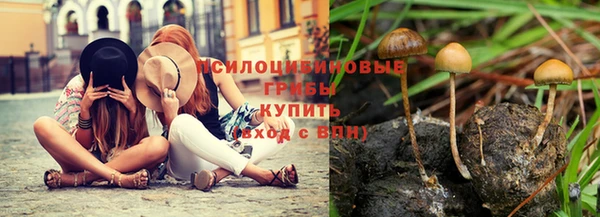 мет Балахна