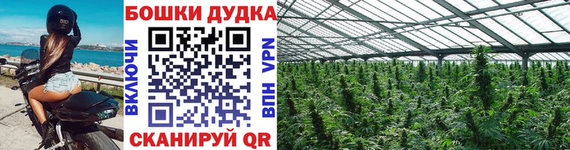 kraken ссылки  Сольцы  Канабис SATIVA & INDICA  дарнет шоп 